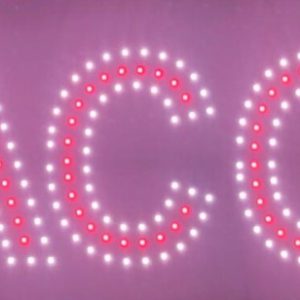 TACO LED SIGN (8" x 30")